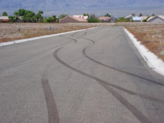 zse1742.jpg