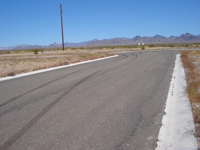 zse1744.jpg