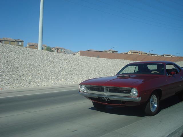 barracuda0074.jpg