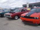 dsc06137_small.jpg