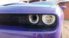 photo14_small.jpg
