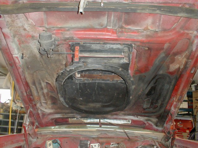 photo4.jpg
