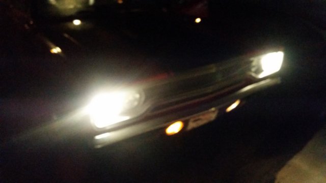 photo40.jpg