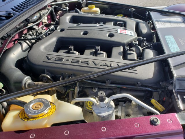 photo14.jpg