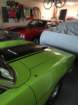 img_64351_small.jpg