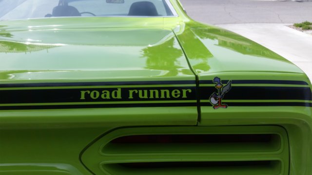 photo36.jpg