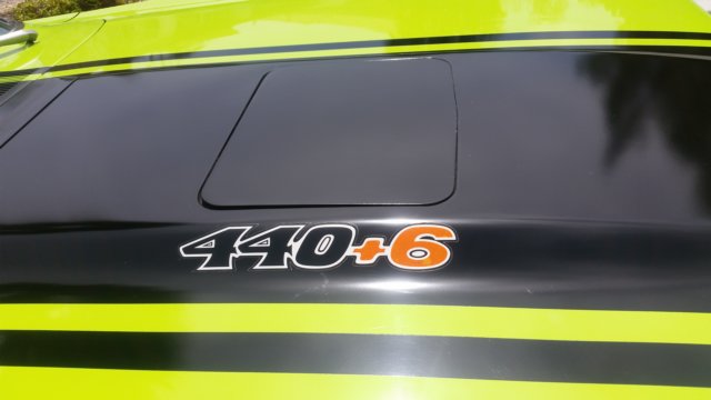 photo8.jpg