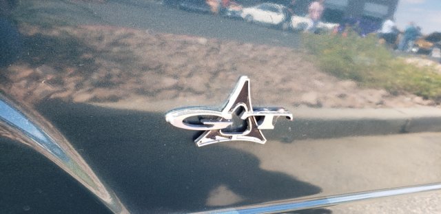 photo11.jpg