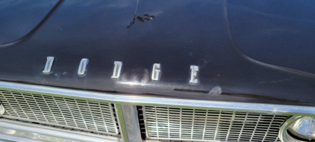 photo25.jpg