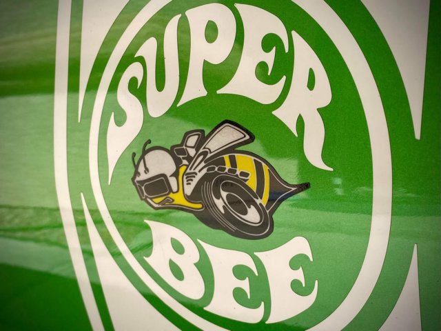 received_320396603449815.jpg